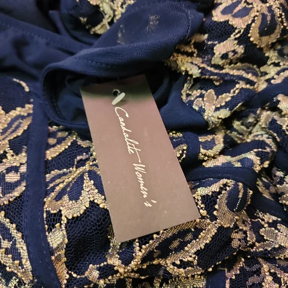 Elegant Navy and White Embroidered Dress By Candlelight Women's Fairycore Formal - Picture 11 of 11